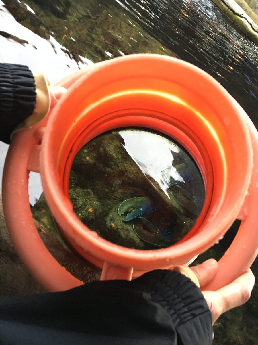 Bathiscope Underwater Viewer
