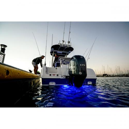 10V-30V Underwater LED Light - Blue